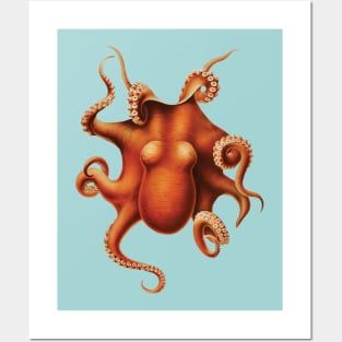 Octopus (Vintage Illustration) Posters and Art